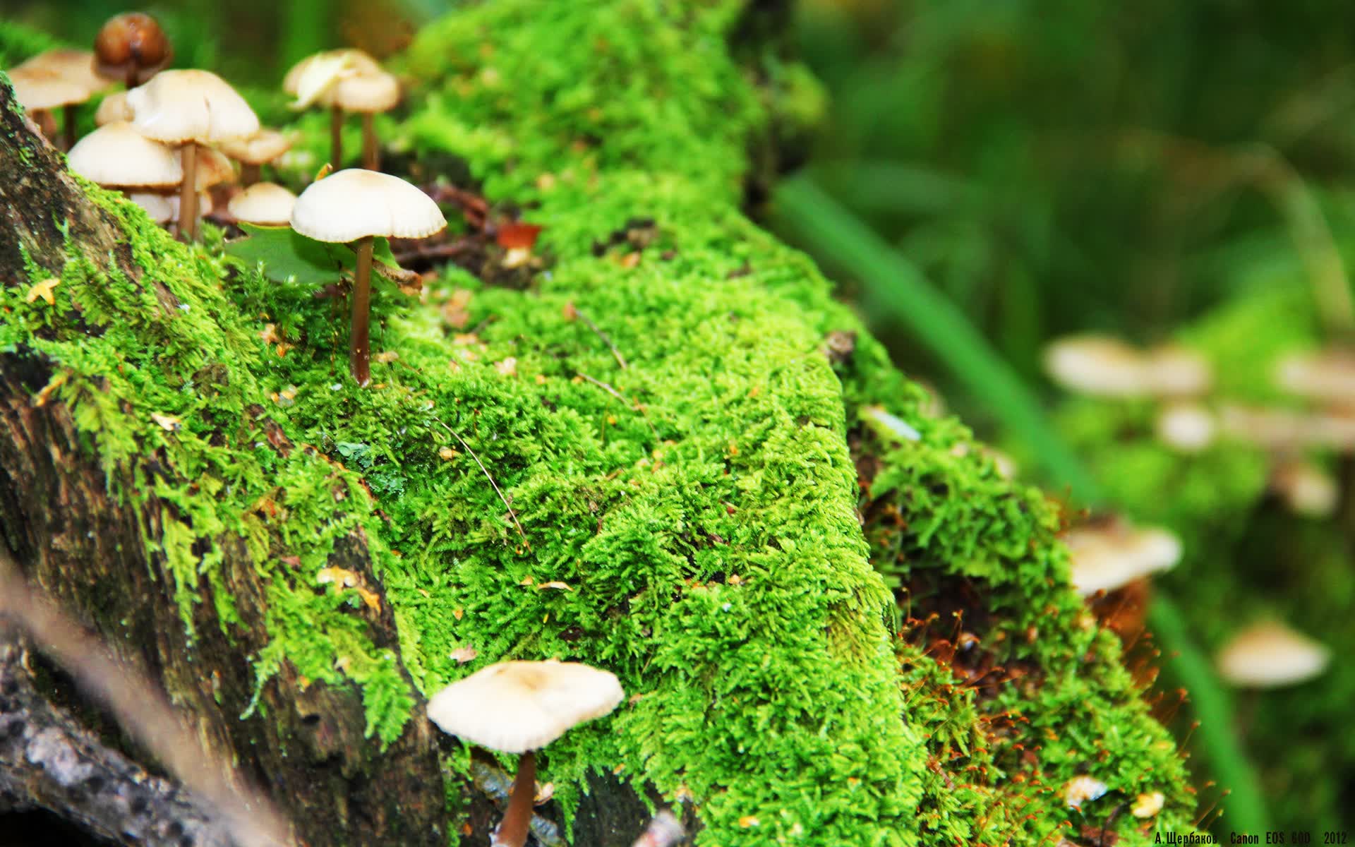 世界举重公开赛赛后科研成果商业化项目签约仪式举行,世界举重比赛规则